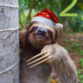 Advent Day 2 at The Learning Zoo!